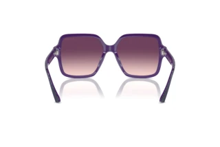 Widok z tyłu Jimmy Choo JC5005 (50447W)