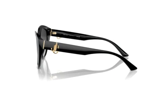 Widok z boku Jimmy Choo JC5007 (50008G)
