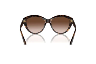 Widok z tyłu Jimmy Choo JC5007 (500213)