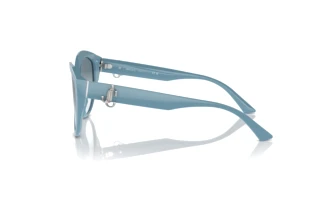 Widok z boku Jimmy Choo JC5007 (501219)