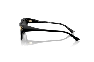 Widok z boku Jimmy Choo JC5011U (500087)
