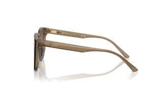 Widok z boku Jimmy Choo JC5016D (505173)