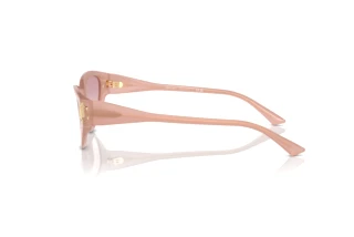 Widok z boku Jimmy Choo JC5019 (502768)