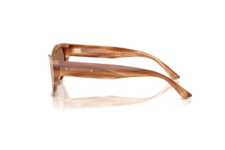 Widok z boku Jimmy Choo JC5022B (505573)