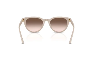 Widok z tyłu Jimmy Choo JC5043D (50333B)