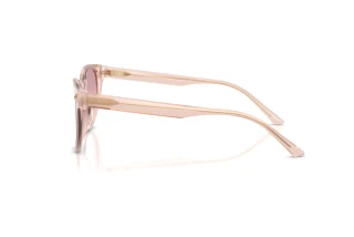 Widok z boku Jimmy Choo JC5043D (505268)