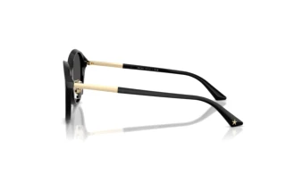 Widok z boku Jimmy Choo JC5044D (500087)
