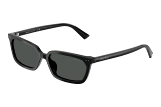 Widok z przodu Jimmy Choo JC5050U (500087)