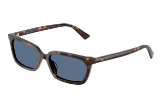 Widok z przodu Jimmy Choo JC5050U (500280)