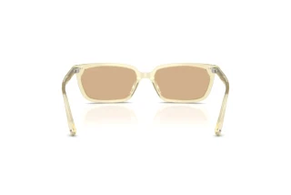 Widok z tyłu Jimmy Choo JC5050U (5083/8)