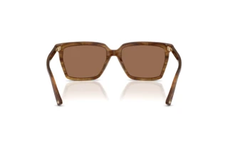 Widok z tyłu Jimmy Choo JC5051 (508573)
