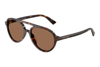 Widok z przodu Jimmy Choo JC5055U (500273)