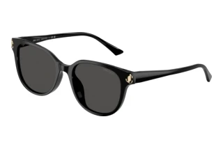 Widok z przodu Jimmy Choo JC5057D (500087)