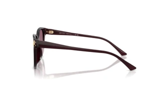Widok z boku Jimmy Choo JC5057D (50866X)