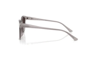 Widok z boku Jimmy Choo JC5057D (50968G)