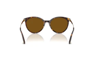 Widok z tyłu Jimmy Choo JC5060 (500283)