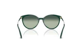 Widok z tyłu Jimmy Choo JC5060 (510019)