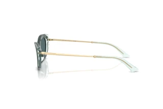 Widok z boku Jimmy Choo JC5065U (510487)