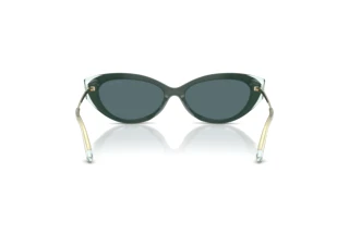 Widok z tyłu Jimmy Choo JC5065U (510487)