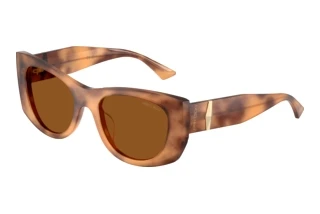 Widok z przodu Jimmy Choo JC5066U (509673)