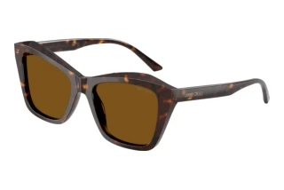 Widok z przodu Jimmy Choo JC5076 (500283)