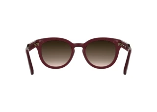 Widok z tyłu Lacoste L6070S (601)