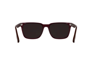 Widok z tyłu Lacoste L6077S (601)