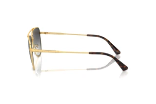 Widok z boku Michael Kors WHISTLER (MK1155 - 18968G)