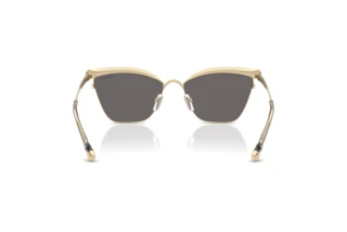 Widok z tyłu Michael Kors SCOTTSDALE (MK1174 - 1014Z6)