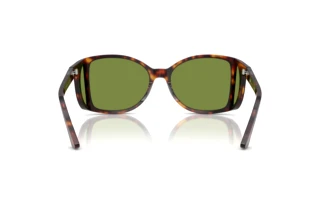 Widok z tyłu Persol PO0005 (24/4E)