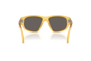 Widok z tyłu Persol PO0050S (204/B1)