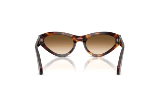 Widok z tyłu Persol PO0052S (24/51)