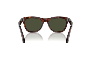Widok z tyłu Persol PO0086S (24/31)