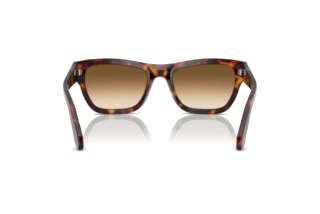 Widok z tyłu Persol PO0091S (24/51)