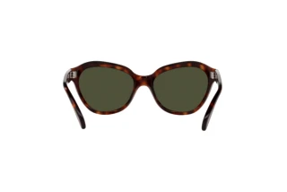 Widok z tyłu Persol PO0582S (24/31)