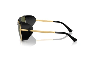 Widok z boku Persol PO1013SZ (114958)