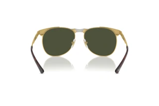 Widok z tyłu Persol PO1016S (515/31)