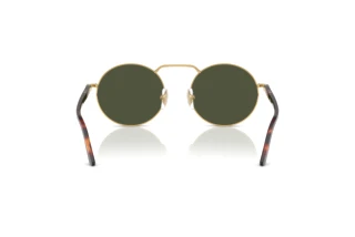 Widok z tyłu Persol PO1019S (515/31)