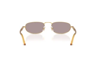 Widok z tyłu Persol PO1028S (112953)