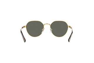 Widok z tyłu Persol PO2486S (110958)