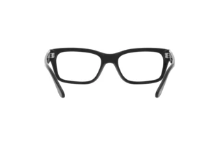 Widok z tyłu Persol PO3301S (95/GG)