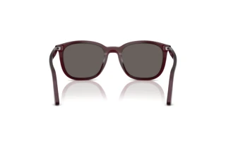 Widok z tyłu Persol PO3355S (1216B1)