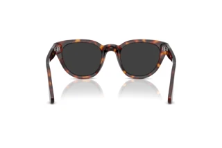 Widok z tyłu Persol PO3379S (24/48)