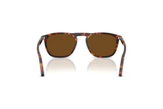 Widok z tyłu Persol GAE (PO3391S - 24/57)