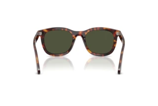 Widok z tyłu Persol PO3395S (24/31)