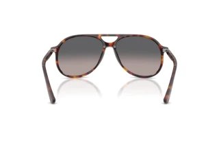 Widok z tyłu Persol WALTER (PO3403S - 24/M3)