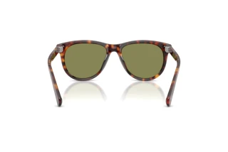 Widok z tyłu Persol PO3408S (24/4E)