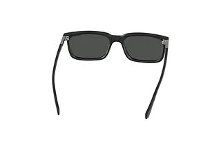 Widok z tyłu Polaroid PLD 2117/S (807/M9)