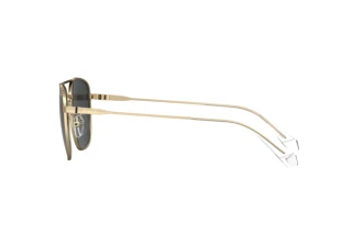 Widok z boku Polaroid PLD 4172/G/S/X (2F7/M9)