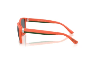 Widok z boku Polo PH4229U (54606G)